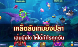 เคล็ดลับการเล่นเกมยิงปลา ให้ทำกำไรทุกวัน