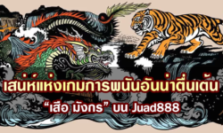 เสน่ห์แห่งเกมการพนันอันน่าตื่นเต้น “เสือมังกร” บน Juad888